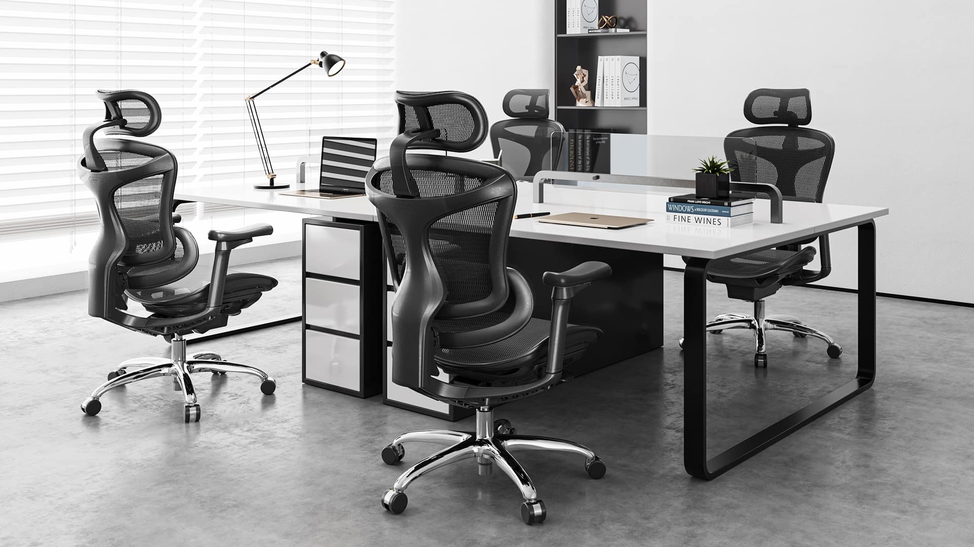 Sihoo M18 office chair for focused study and desk work