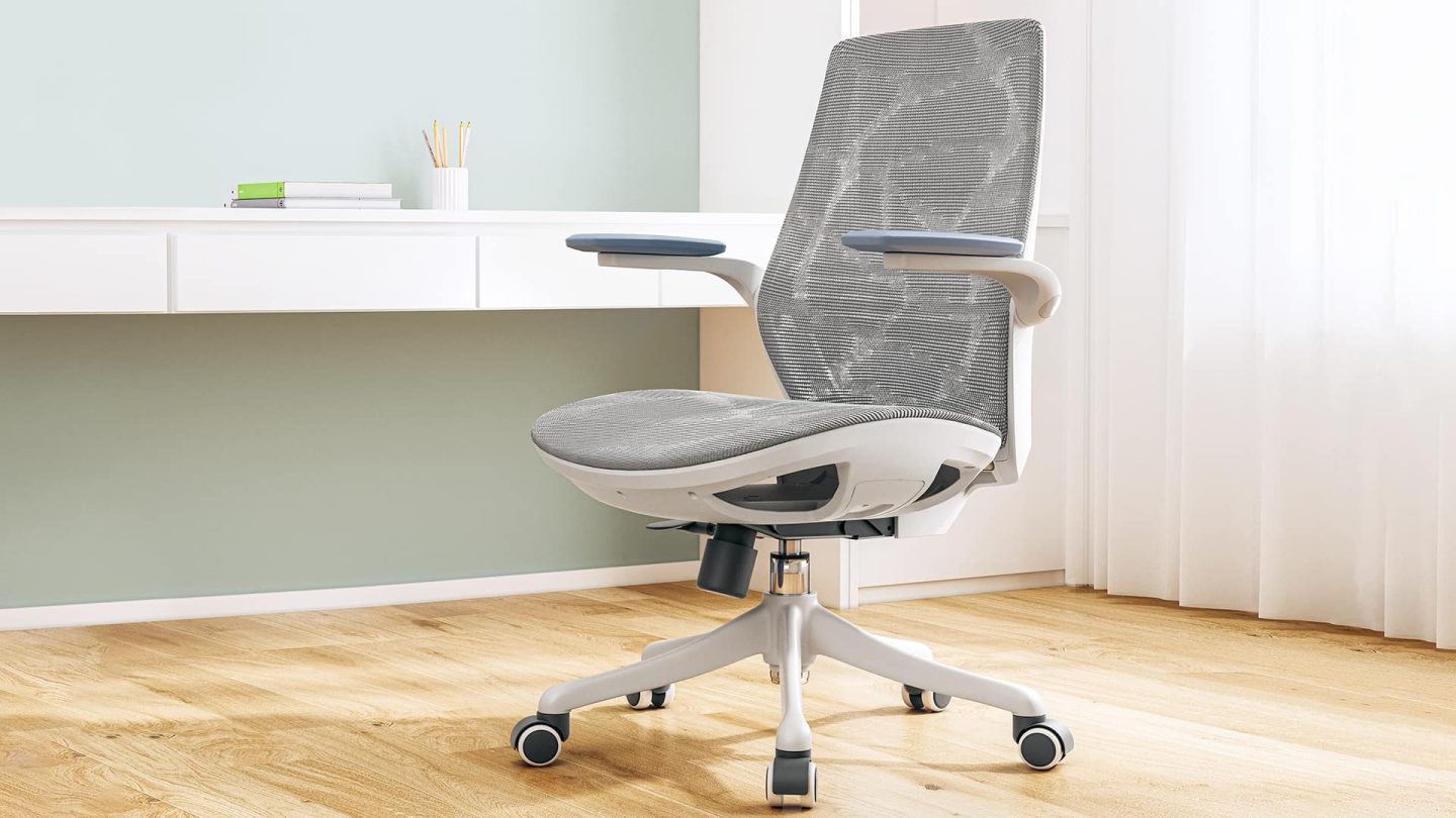 Task Chair vs Office Chair: Which Do You Actually Need?