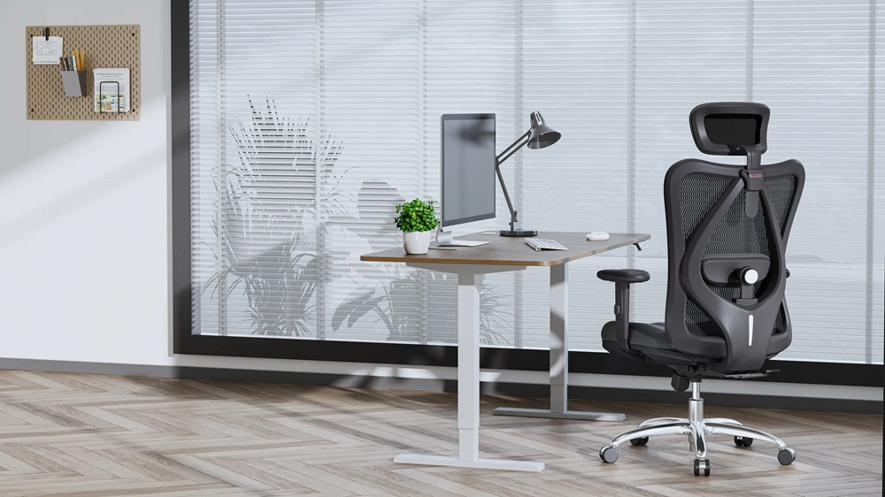 SIHOO S300 modern office chair with dynamic lumbar support for desk work